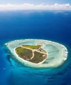 Eco Lady Elliot Island